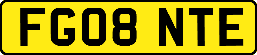 FG08NTE