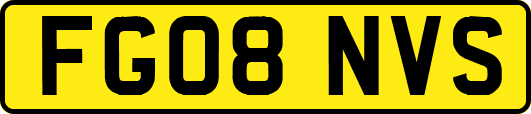 FG08NVS