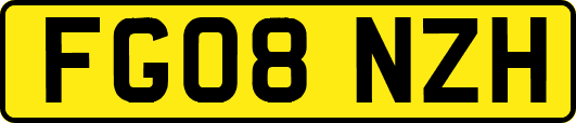 FG08NZH