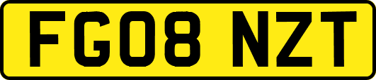 FG08NZT