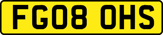 FG08OHS