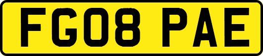 FG08PAE