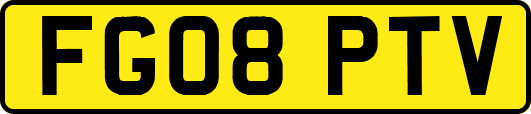 FG08PTV