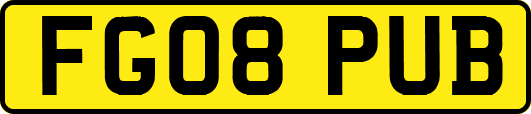 FG08PUB