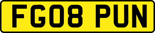 FG08PUN