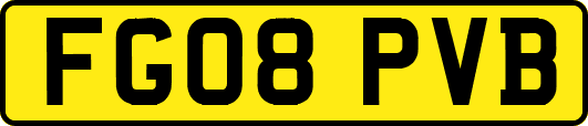 FG08PVB