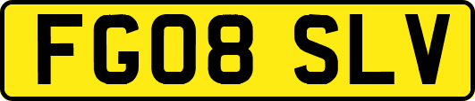 FG08SLV