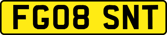 FG08SNT