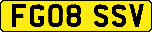 FG08SSV