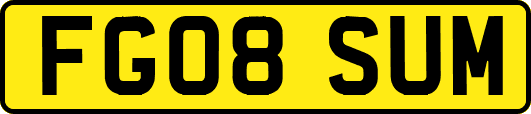 FG08SUM
