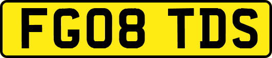 FG08TDS