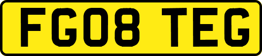 FG08TEG