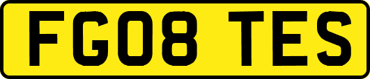 FG08TES