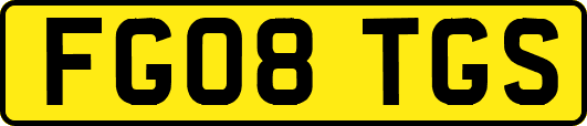 FG08TGS