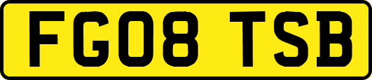 FG08TSB