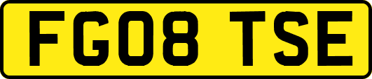 FG08TSE