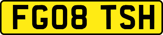FG08TSH