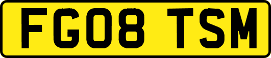 FG08TSM