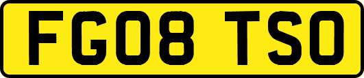 FG08TSO