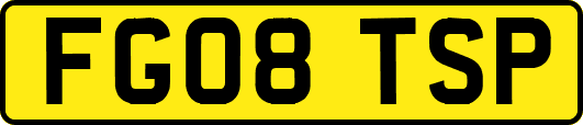 FG08TSP