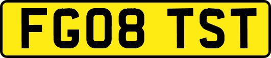 FG08TST