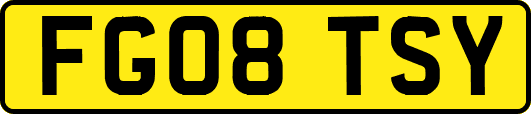 FG08TSY