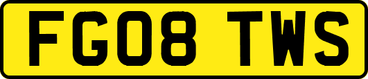 FG08TWS