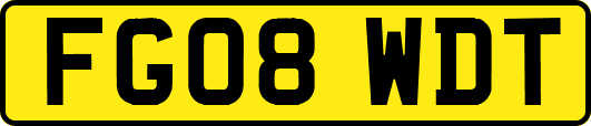 FG08WDT