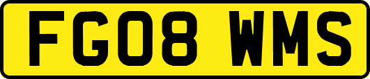 FG08WMS