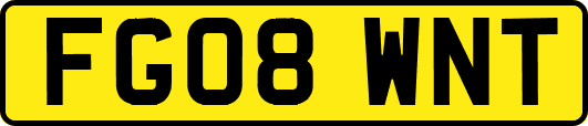 FG08WNT