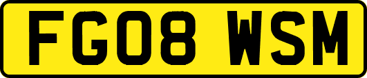 FG08WSM