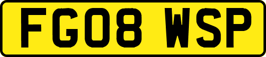 FG08WSP
