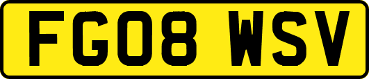 FG08WSV