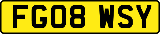 FG08WSY
