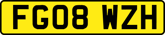 FG08WZH