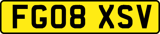 FG08XSV