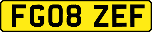 FG08ZEF
