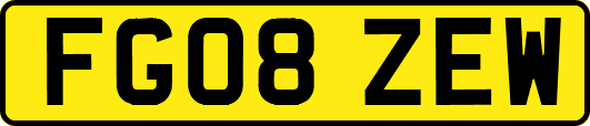 FG08ZEW