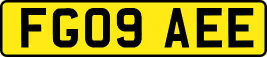 FG09AEE