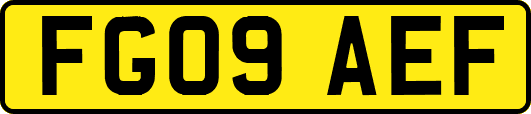 FG09AEF