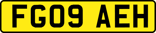 FG09AEH