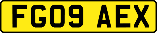 FG09AEX