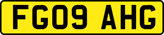 FG09AHG
