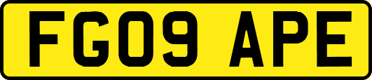 FG09APE