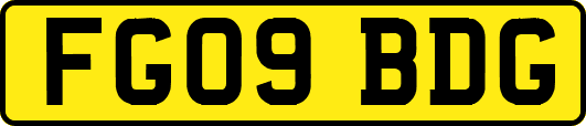 FG09BDG