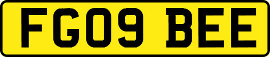 FG09BEE