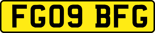 FG09BFG