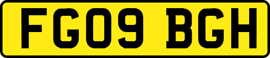 FG09BGH