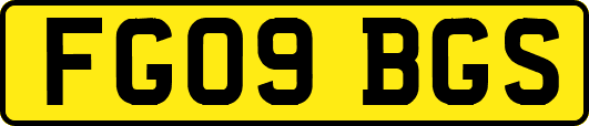 FG09BGS