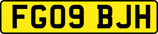 FG09BJH